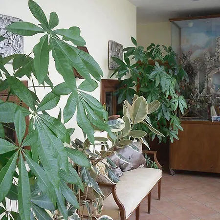 I Vicoletti Di * Naples