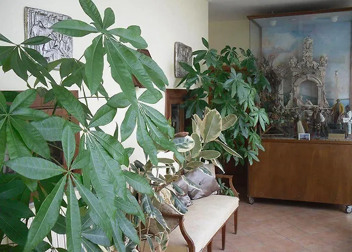 I Vicoletti Di 4* Napoli